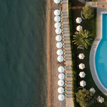 Elea Dassia (Corfu)
